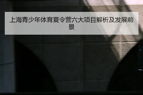 上海青少年体育夏令营六大项目解析及发展前景